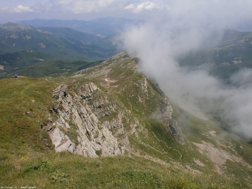 127355-rondinaio-03-p6222240.jpg