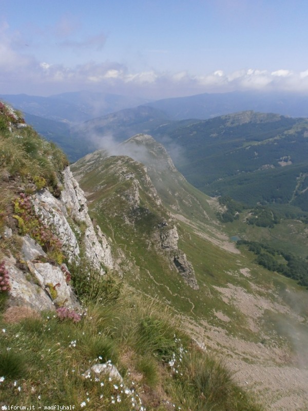 127356-rondinaio-03-p6222242.jpg