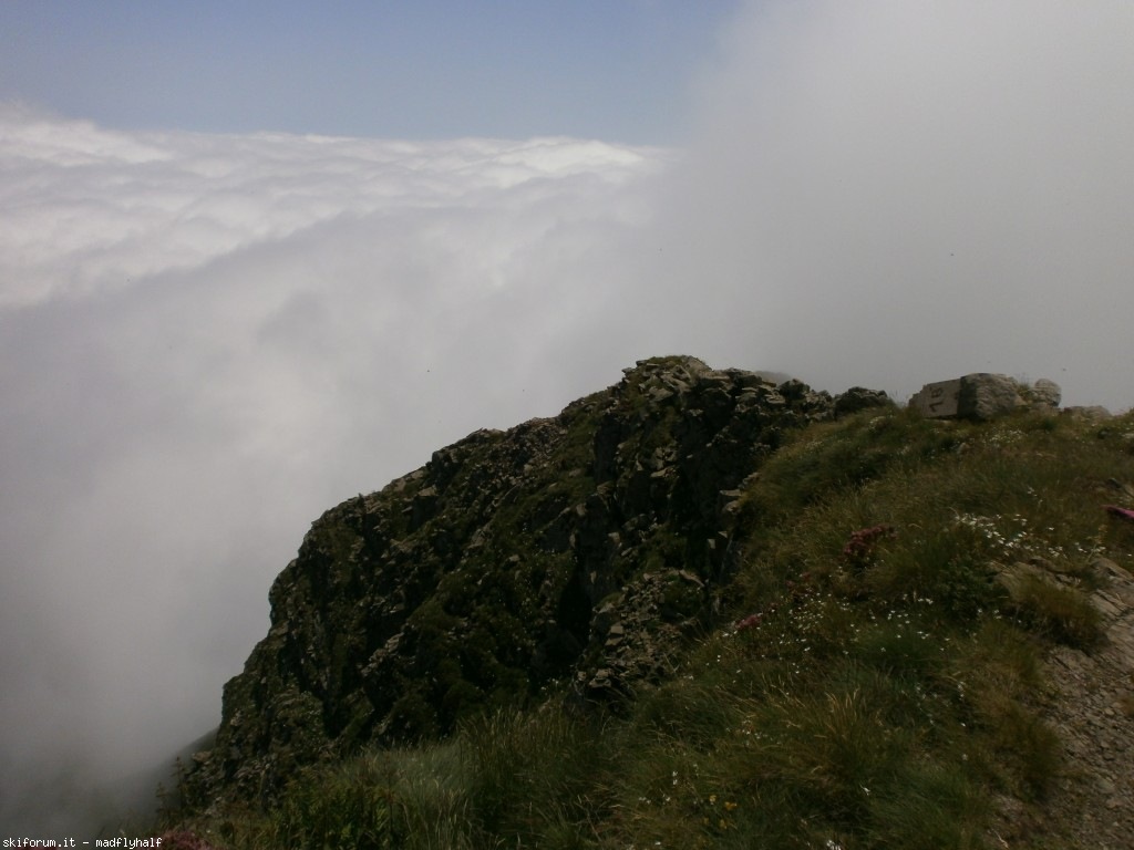 127358-rondinaio-03-p6222246.jpg
