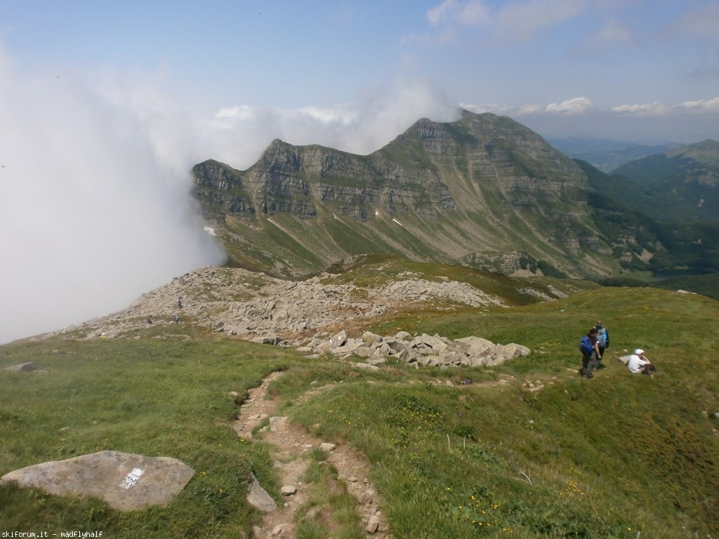 127359-rondinaio-03-p6222248.jpg