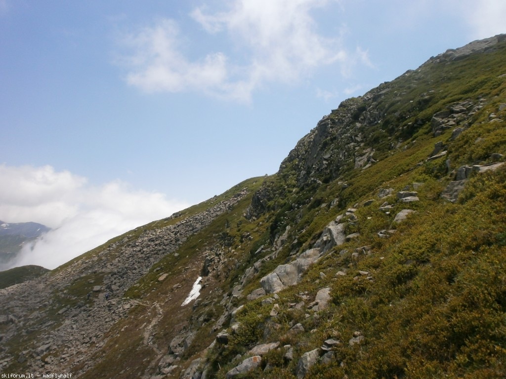 127363-rondinaio-03-p6222256.jpg