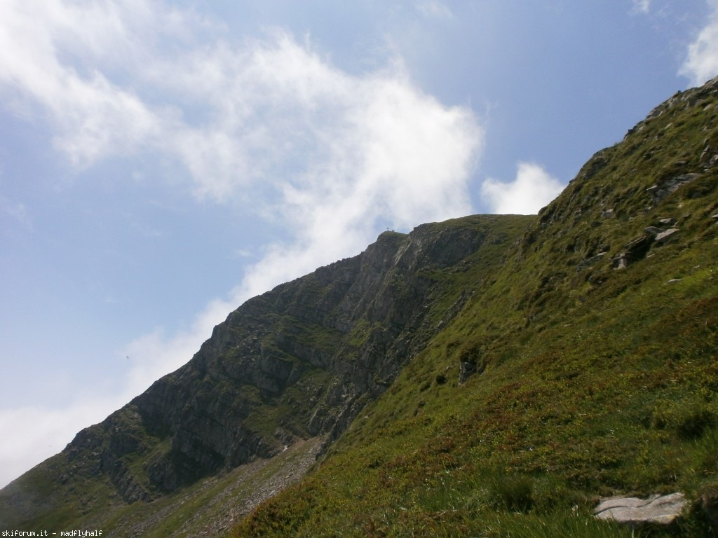 127365-rondinaio-03-p6222258.jpg