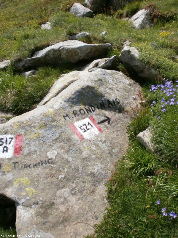 127366-rondinaio-03-p6222259.jpg