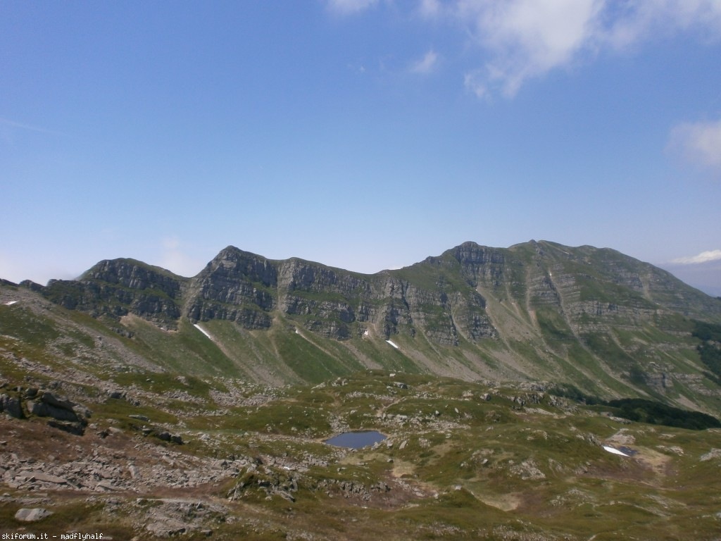 127367-rondinaio-03-p6222260.jpg