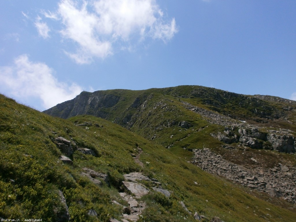 127368-rondinaio-03-p6222261.jpg