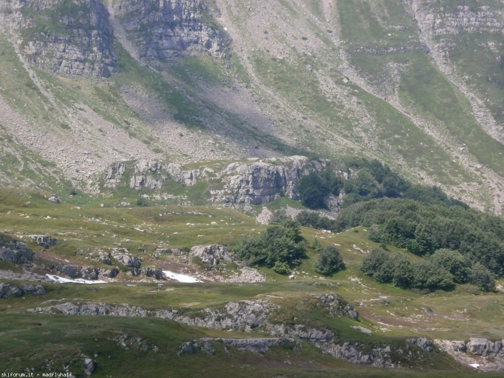127373-rondinaio-04-p6222273.jpg