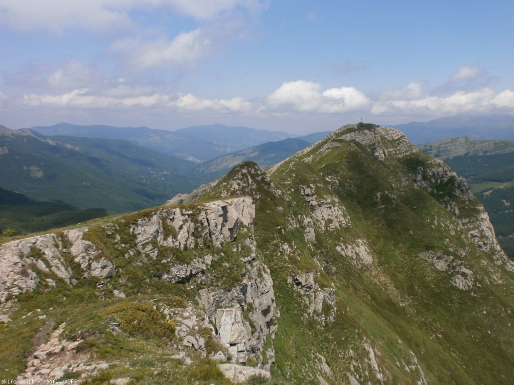 127375-rondinaio-04-p6222276.jpg