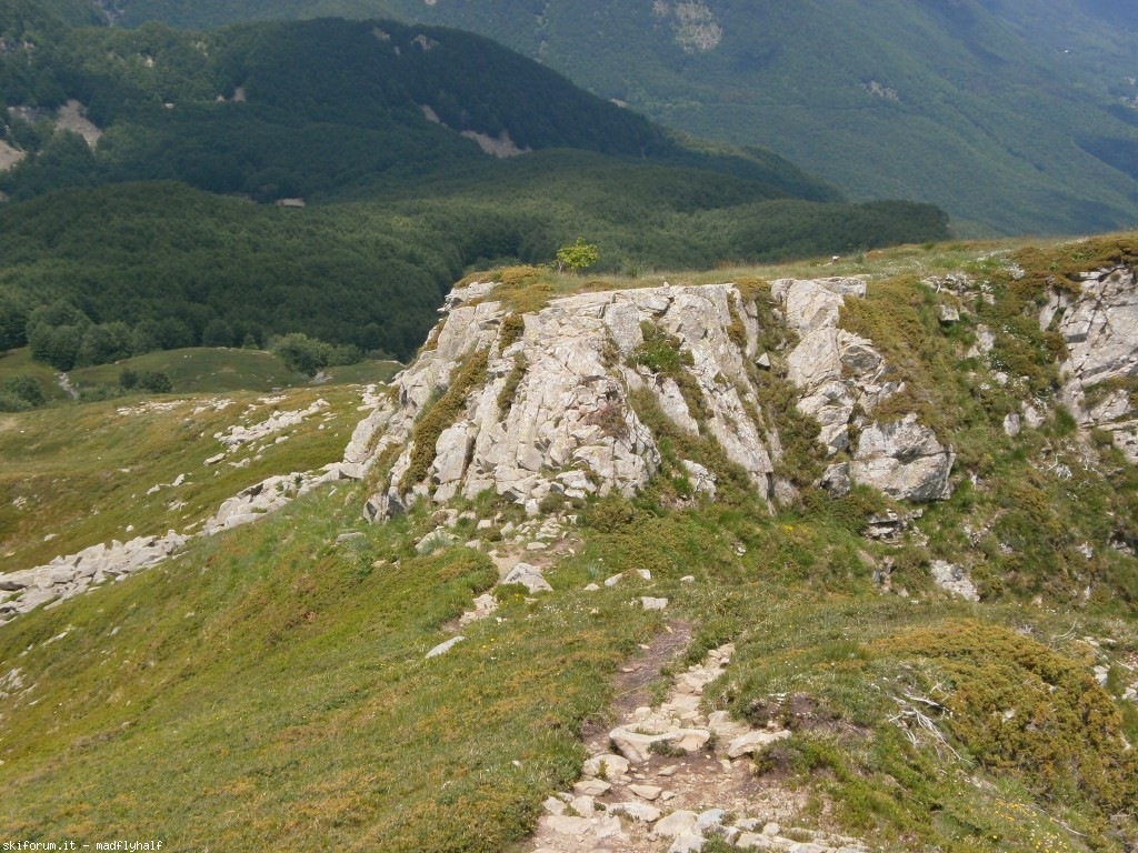 127376-rondinaio-04-p6222277.jpg
