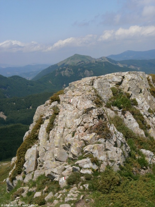 127377-rondinaio-04-p6222278.jpg