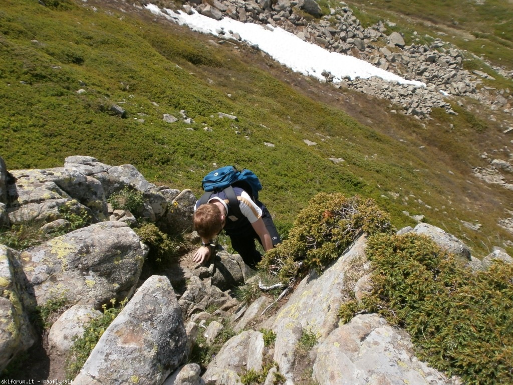 127381-rondinaio-04-p6222295.jpg