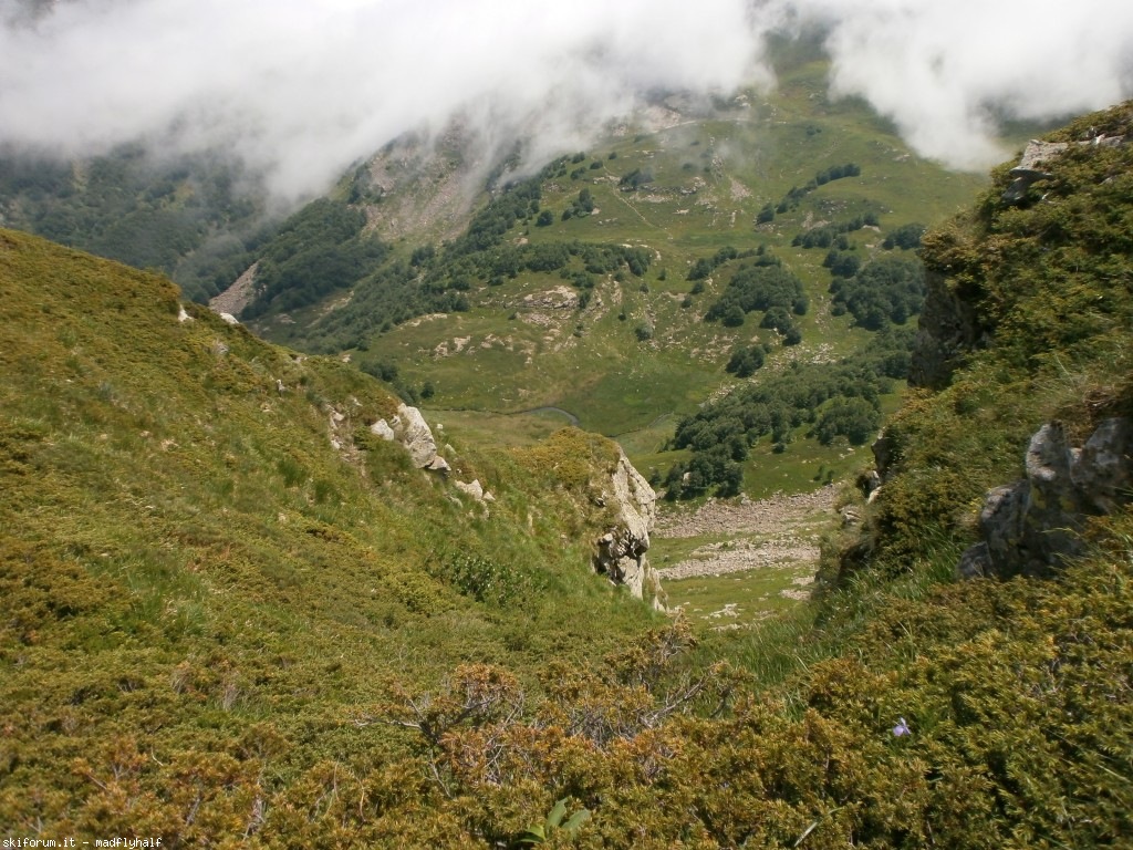 127384-rondinaio-04-p6222306.jpg