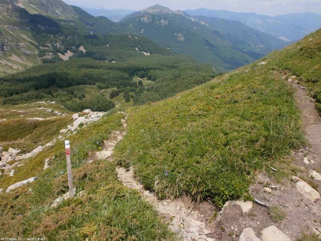 127385-rondinaio-04-p6222307.jpg