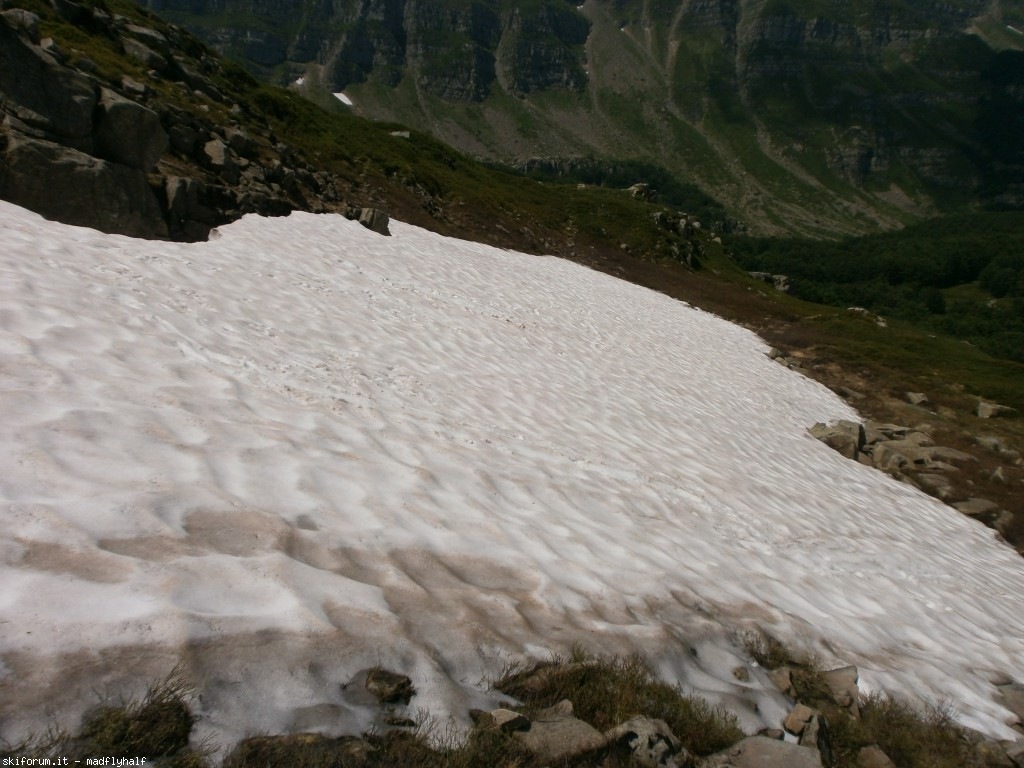127386-rondinaio-04-p6222308.jpg