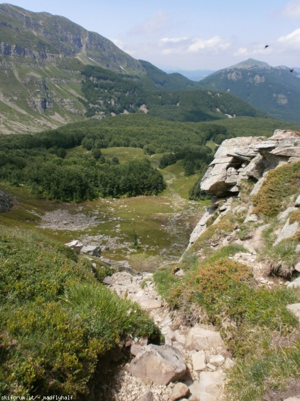 127387-rondinaio-04-p6222309.jpg