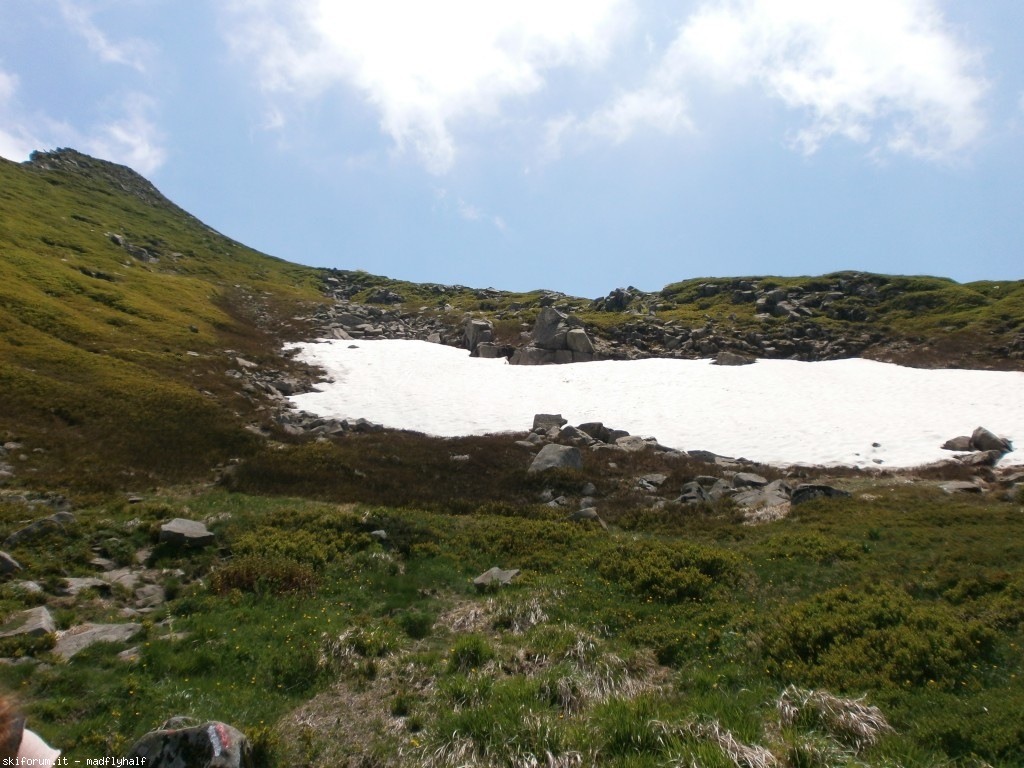 127388-rondinaio-05-p6222310.jpg