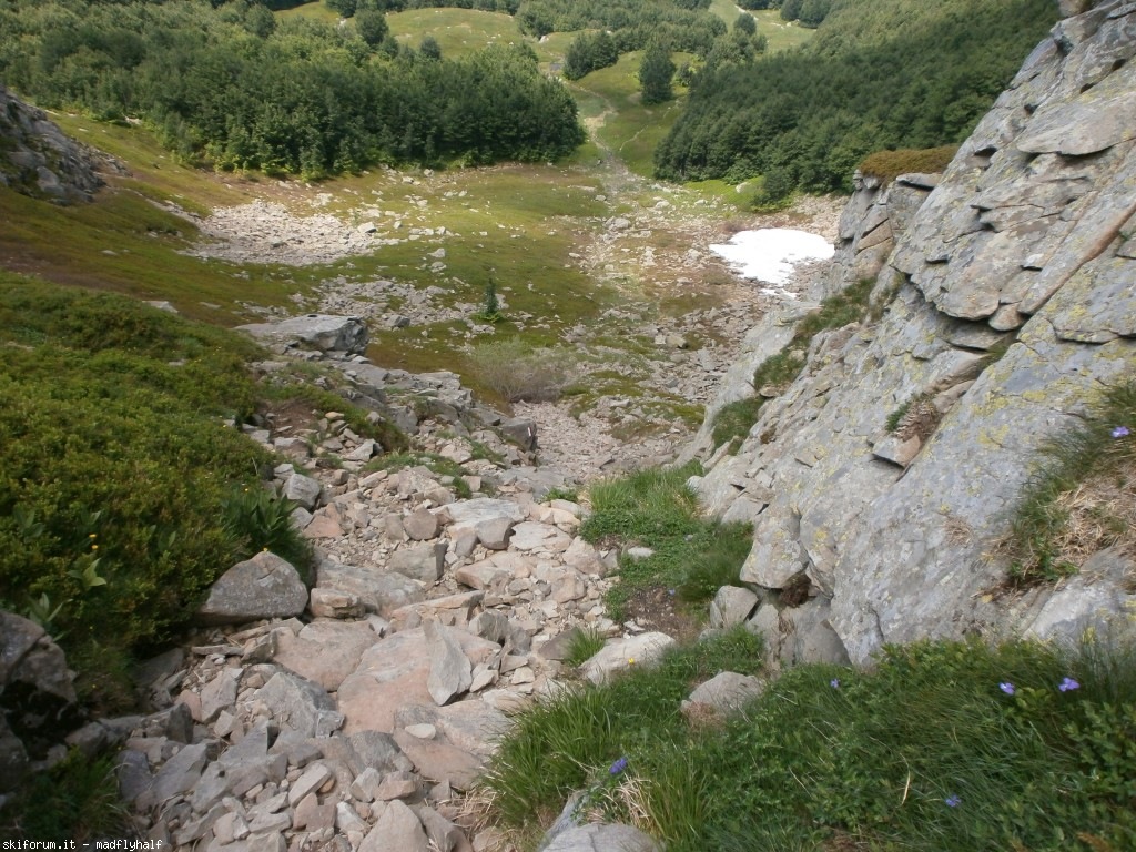 127389-rondinaio-05-p6222311.jpg