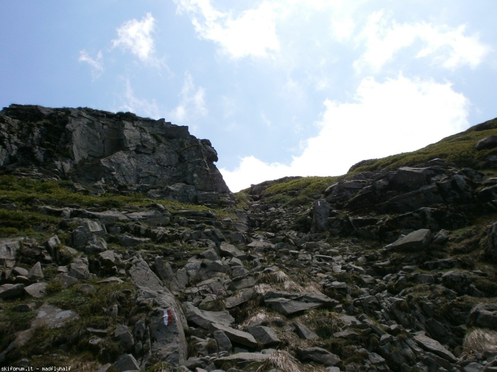 127390-rondinaio-05-p6222316.jpg