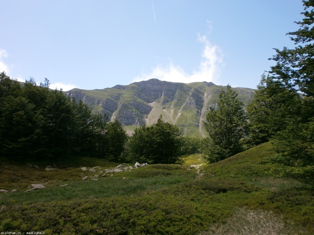 127391-rondinaio-05-p6222318.jpg
