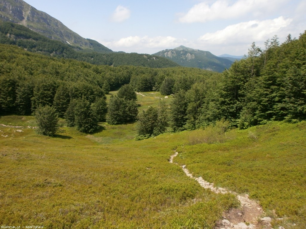 127392-rondinaio-05-p6222319.jpg