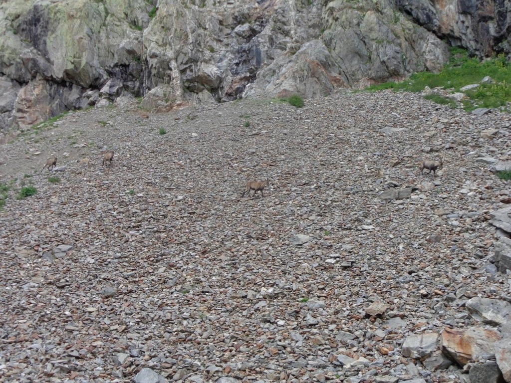 128263-dsc00871.jpg