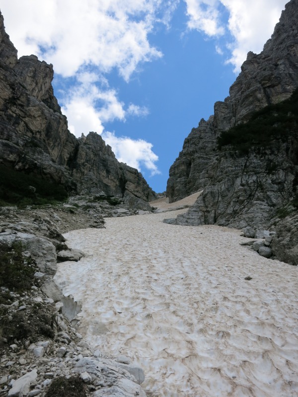 128425-bosconero-img3030.jpg