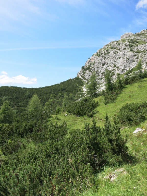 128435-antelao-de-lorenzo-img3388.jpg