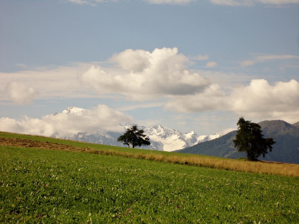 128899-val-venosta-dsc09168.jpg