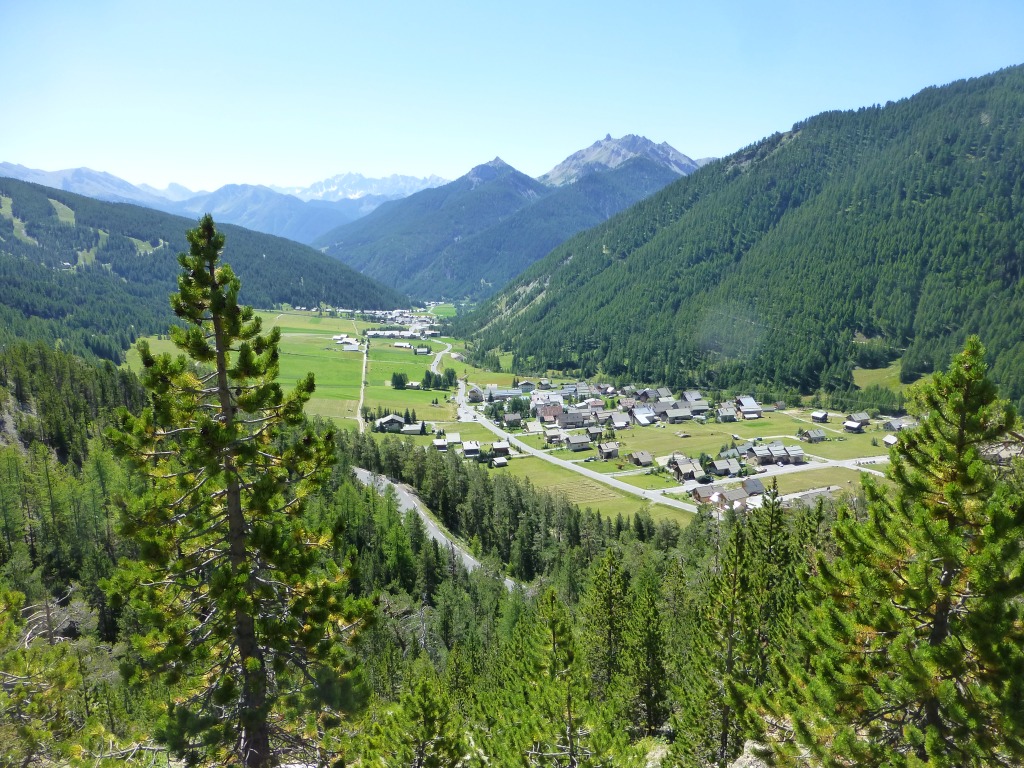129129-p1000947.jpg