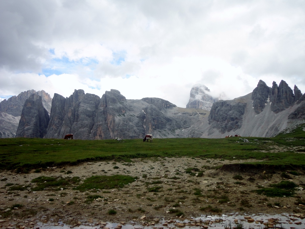 129321-dolomiti-di-sesto-dsc09353.jpg