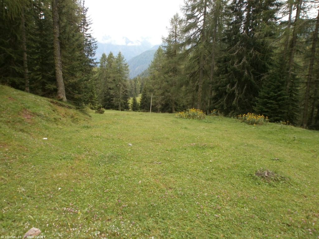 129471-wlf-vari-p8182456.jpg