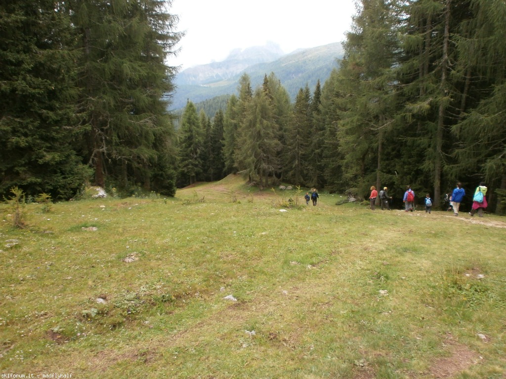 129472-wlf-vari-p8182457.jpg