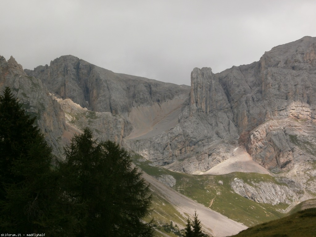 129475-wlf-vari-p8182460.jpg