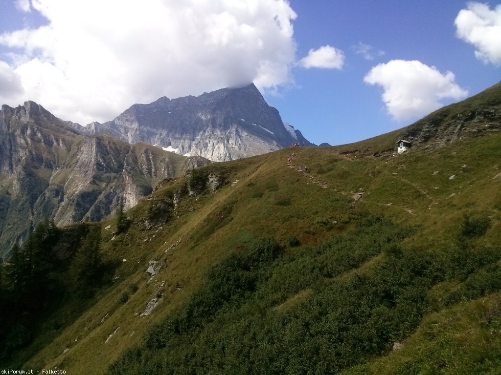 129767-cam01509.jpg