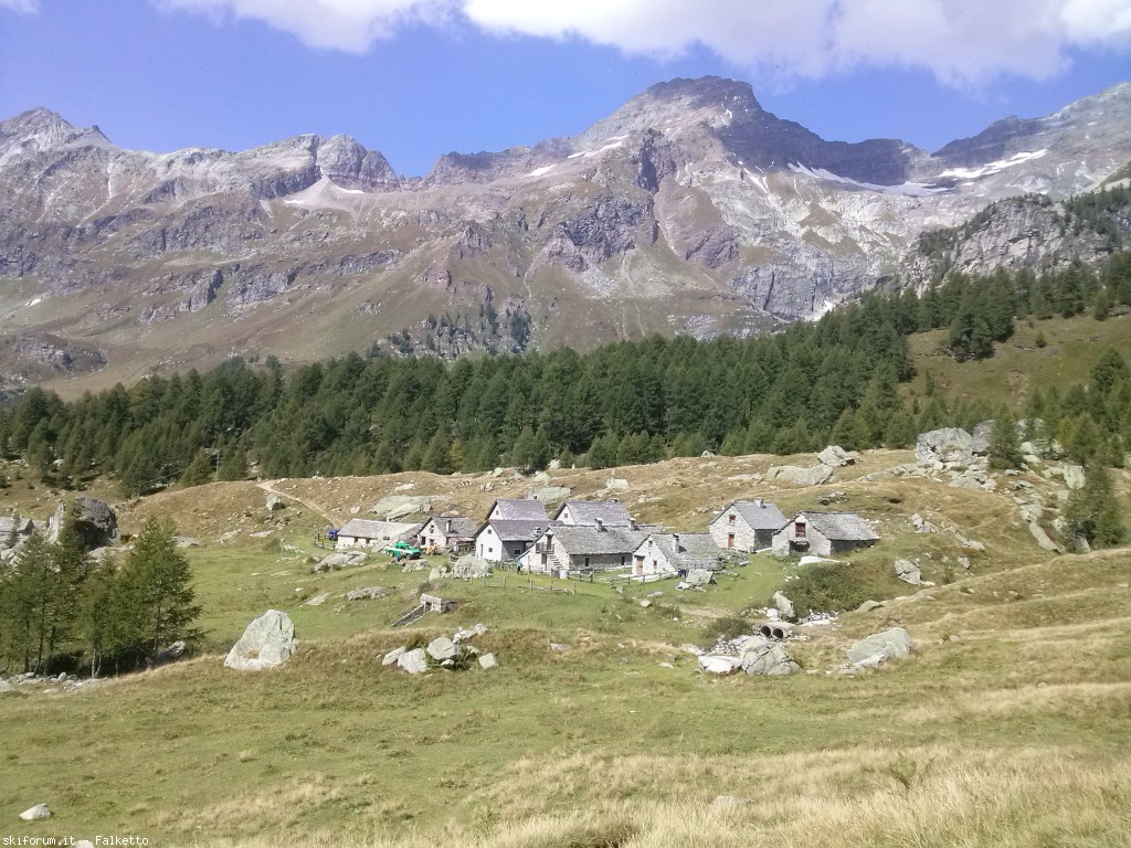 129772-cam01518.jpg