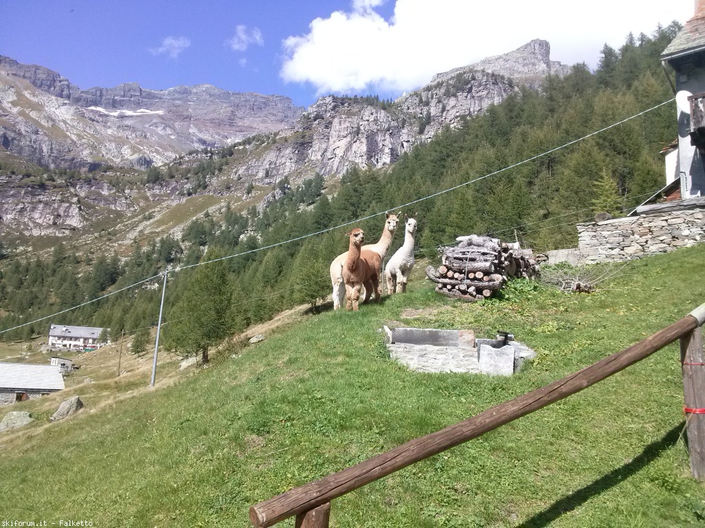 129776-cam01529.jpg