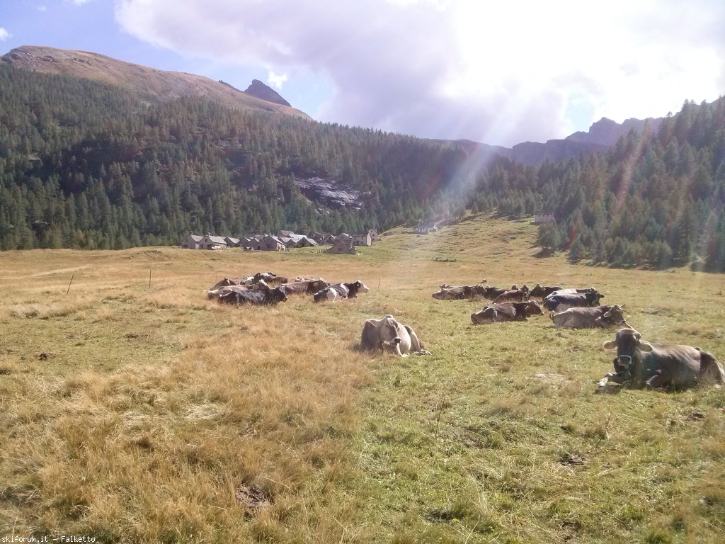 129778-cam01537.jpg