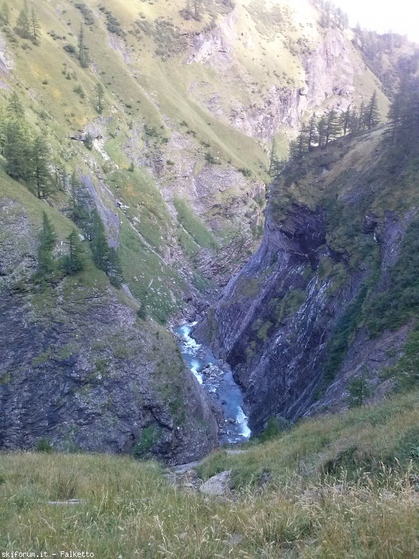 129779-cam01540.jpg