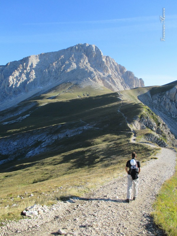 129808-direttissima-img0676-11.jpg