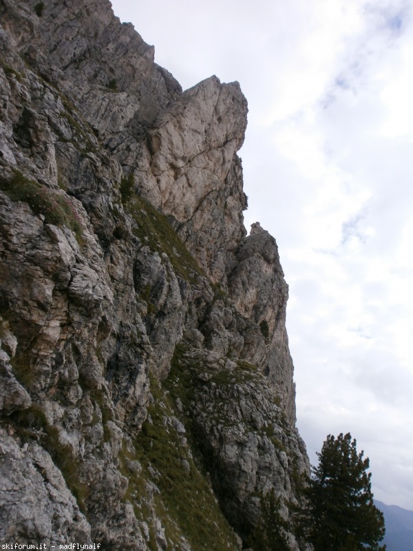129942-roda-di-vael-01-p8222674.jpg
