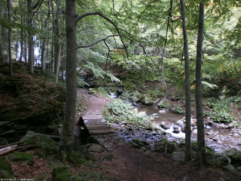 129974-cascate-del-dardagna-p9142405.jpg