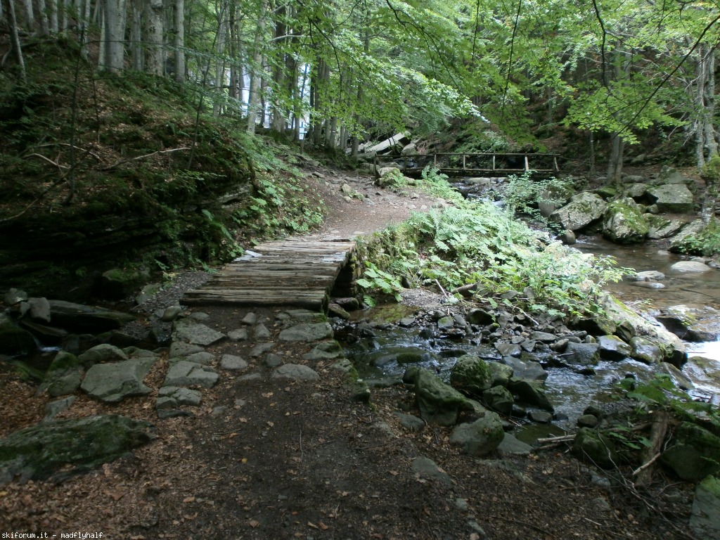 129975-cascate-del-dardagna-p9142407.jpg