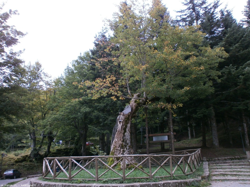 129984-cascate-del-dardagna-p9142472.jpg