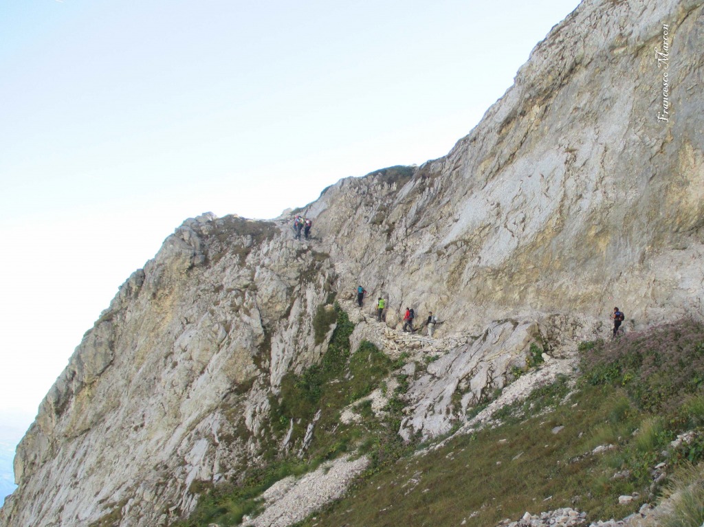 130632-corno-piccolo-corno-piccolo-3c.jpg