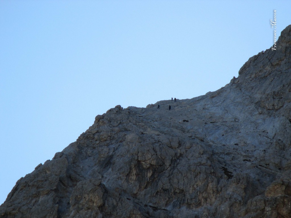 130633-corno-piccolo-corno-piccolo-3d.jpg