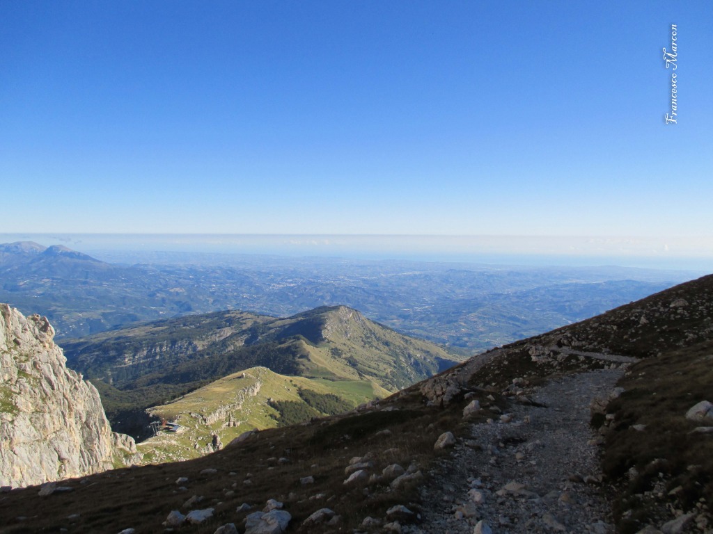 130635-corno-piccolo-corno-piccolo-3f.jpg