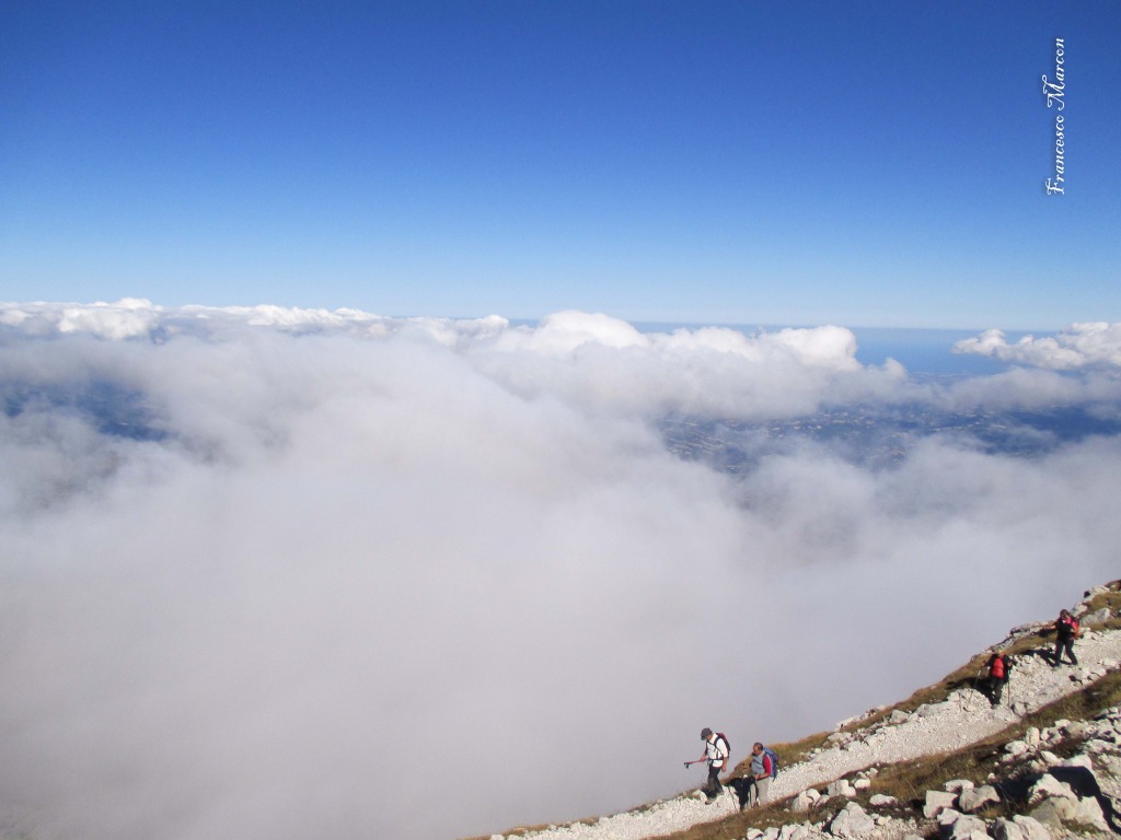 130654-corno-piccolo-30.jpg