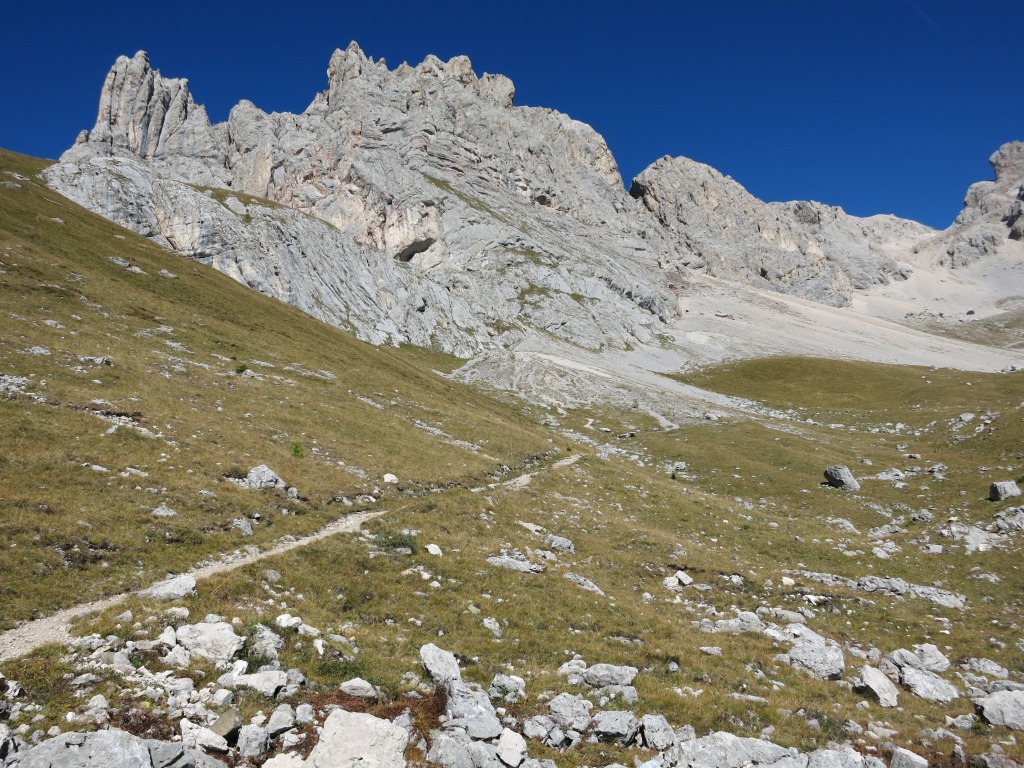 130678-forca-rossa-img9227.jpg