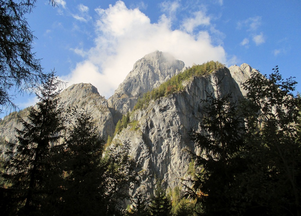 130989-bordaglia-1-img0099.jpg