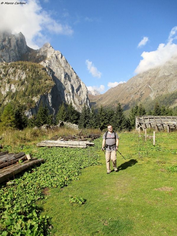130990-bordaglia-1-img0101.jpg