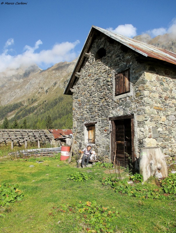 130991-bordaglia-1-img0103.jpg